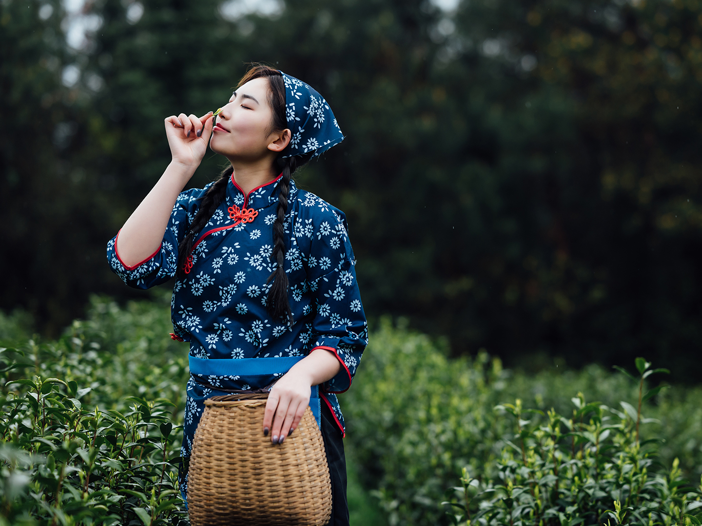 Open Call for Submissions: Indigenous Women and Traditional Medicine